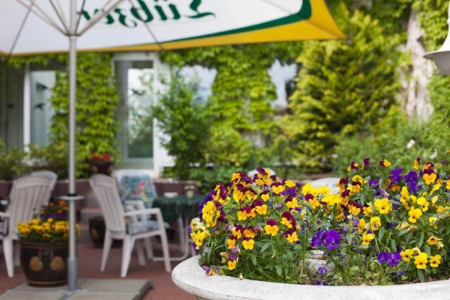 Sporthotel Malchow Hotel Garni Hp Ist Moeglich Kültér fotó